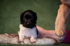 © all rights reserved - Photo by Lisanne Bakker