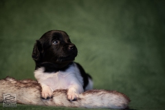 © all rights reserved - Photo by Lisanne Bakker