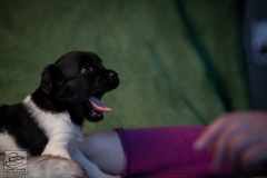 © all rights reserved - Photo by Lisanne Bakker