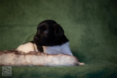 © all rights reserved - Photo by Lisanne Bakker