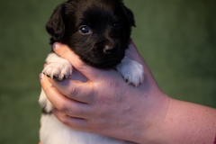 © all rights reserved - Photo by Lisanne Bakker