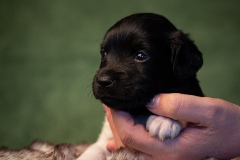 © all rights reserved - Photo by Lisanne Bakker