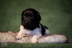 © all rights reserved - Photo by Lisanne Bakker