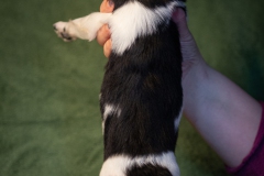 © all rights reserved - Photo by Lisanne Bakker