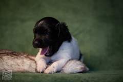 © all rights reserved - Photo by Lisanne Bakker