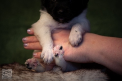 © all rights reserved - Photo by Lisanne Bakker