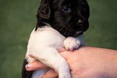 © all rights reserved - Photo by Lisanne Bakker