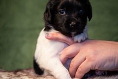 © all rights reserved - Photo by Lisanne Bakker