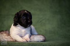 © all rights reserved - Photo by Lisanne Bakker