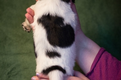 © all rights reserved - Photo by Lisanne Bakker