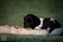 © all rights reserved - Photo by Lisanne Bakker