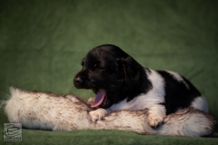 © all rights reserved - Photo by Lisanne Bakker