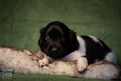 © all rights reserved - Photo by Lisanne Bakker