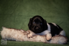 © all rights reserved - Photo by Lisanne Bakker