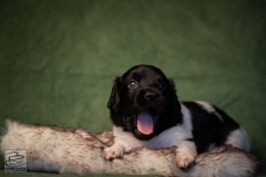 © all rights reserved - Photo by Lisanne Bakker