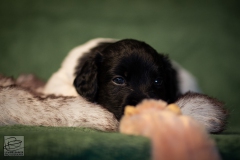 © all rights reserved - Photo by Lisanne Bakker