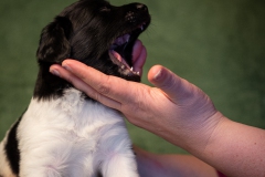 © all rights reserved - Photo by Lisanne Bakker