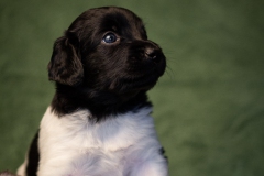 © all rights reserved - Photo by Lisanne Bakker