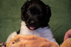 © all rights reserved - Photo by Lisanne Bakker