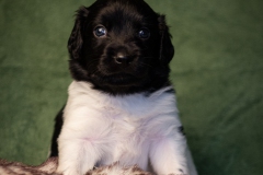 © all rights reserved - Photo by Lisanne Bakker