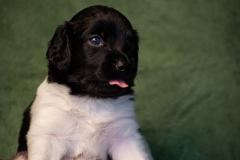 © all rights reserved - Photo by Lisanne Bakker