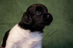 © all rights reserved - Photo by Lisanne Bakker