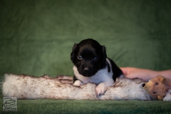 © all rights reserved - Photo by Lisanne Bakker