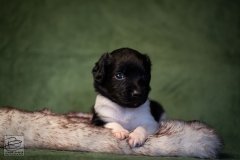 © all rights reserved - Photo by Lisanne Bakker