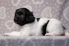 teef, meiske © all rights reserved - Photo by Angela van IJperen