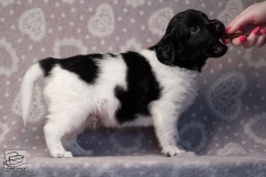 reu, mr. big © all rights reserved - Photo by Angela van IJperen