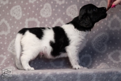 reu, mr. big © all rights reserved - Photo by Angela van IJperen