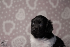 reu, mr. big © all rights reserved - Photo by Angela van IJperen