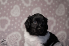 reu, mr. big © all rights reserved - Photo by Angela van IJperen