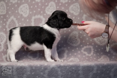 reu, ukkie © all rights reserved - Photo by Angela van IJperen