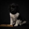© all rights reserved - Photo by Lisanne Bakker
