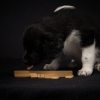 © all rights reserved - Photo by Lisanne Bakker