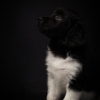 © all rights reserved - Photo by Lisanne Bakker