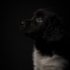 © all rights reserved - Photo by Lisanne Bakker