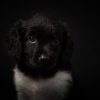 © all rights reserved - Photo by Lisanne Bakker