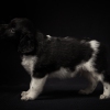 © all rights reserved - Photo by Lisanne Bakker