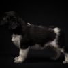 © all rights reserved - Photo by Lisanne Bakker