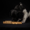 © all rights reserved - Photo by Lisanne Bakker