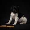 © all rights reserved - Photo by Lisanne Bakker