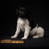 © all rights reserved - Photo by Lisanne Bakker