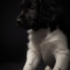 © all rights reserved - Photo by Lisanne Bakker