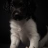 © all rights reserved - Photo by Lisanne Bakker