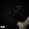 © all rights reserved - Photo by Lisanne Bakker
