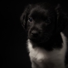 © all rights reserved - Photo by Lisanne Bakker