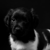 © all rights reserved - Photo by Lisanne Bakker