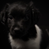 © all rights reserved - Photo by Lisanne Bakker